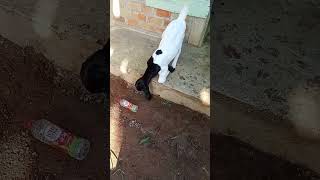 Gara Gara Sebotol Minuman