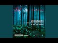 Miniature de la vidéo de la chanson A Midsummer Night's Dream: Incidental Music, Op. 61: No. 7. Nocturne (Con Moto Tranquillo)