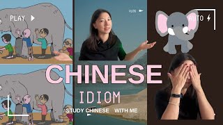 "Exploring Chinese idiom: 盲人摸象 'Blind Men and the Elephant（Comprehensible input for beginners)
