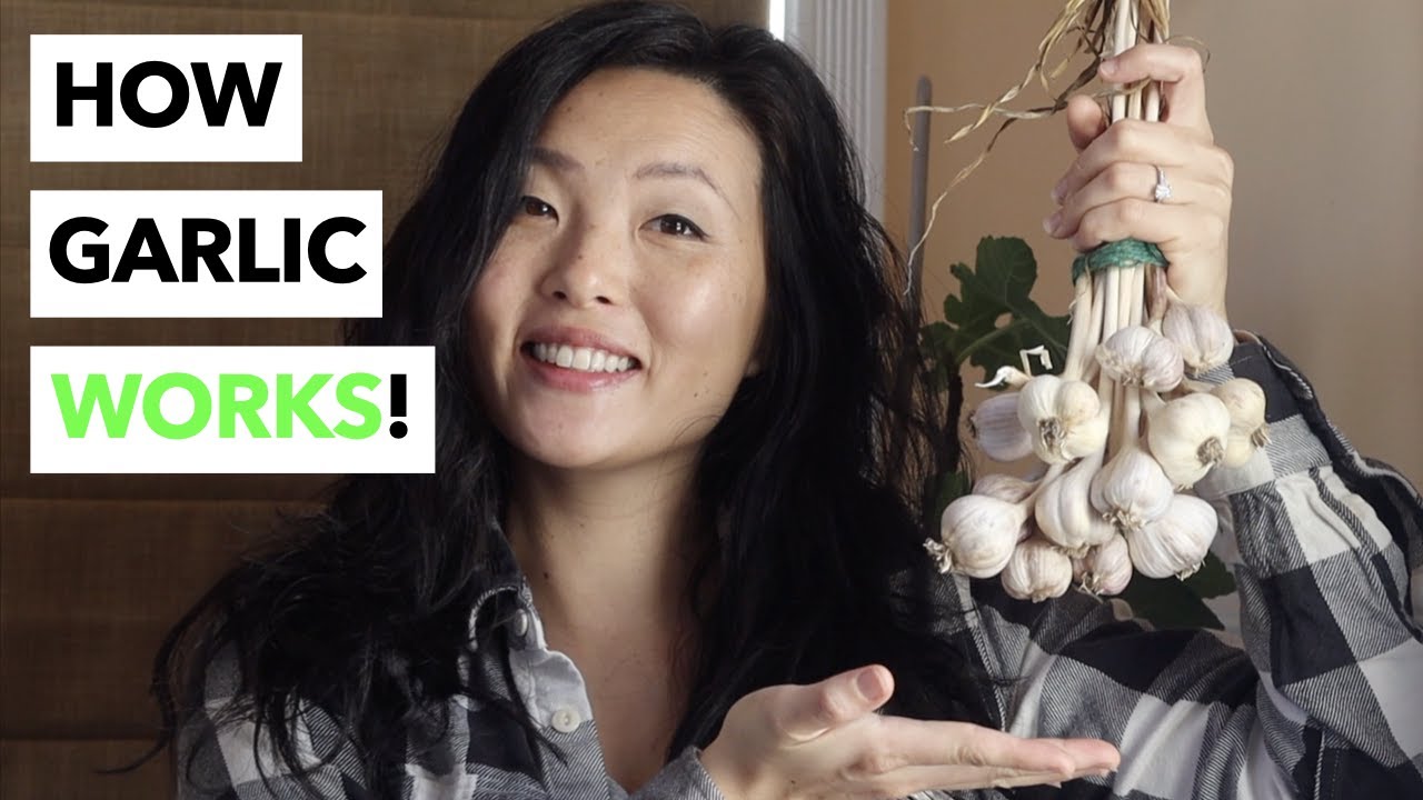3 Reasons to Grow Garlic (Learn When It's Most Effective!) YouTube