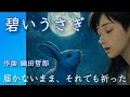 碧いうさぎ/酒井法子|祈り続けた夜、届かぬ想い(弾き語り&情景描写)
