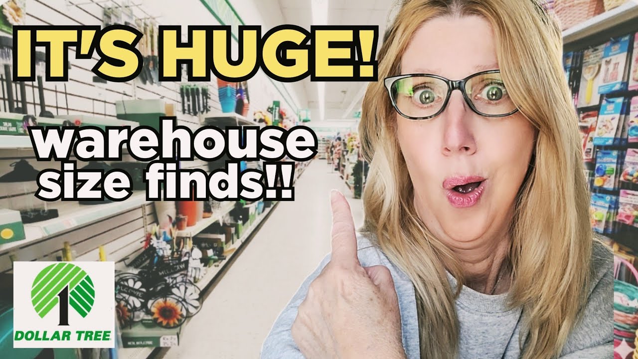 😱 DOLLAR TREE IS ON FIRE! | NEW Warehouse Size Store Walkthrough! 🛒✨