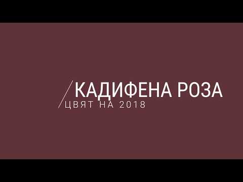 Видео: Розов цвят в интериора: примери и опции, комбинации, съвети за дизайн, снимки