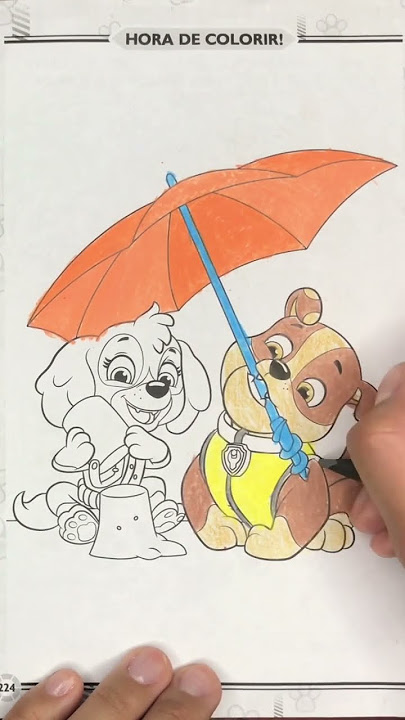 PINTAR desenho da PATRULHA CANINA com JOGO DE ADIVINHAR SIMBOLOS Desenho  para criança em portugues 