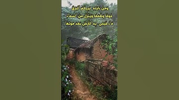 الشيح حسن صالح /ومن آياته يريكم البرق خوفاً وطمعاً.../