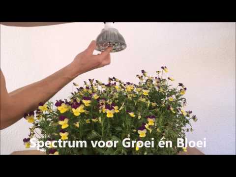 E27 LED Groeilamp (18x3 watt)