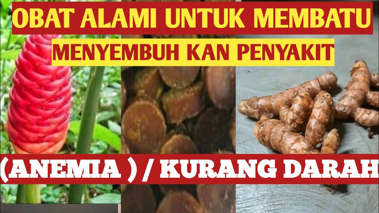 Cara mengobati anemia dengan cepat secara alami
