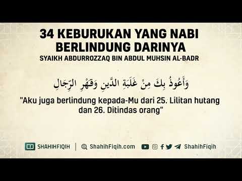 Katta dumbalarning fotosuratlarini koring