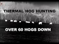 Texas Thermal Hog Hunting Over 60 kills