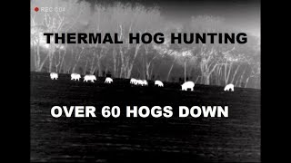 Over 60 Hogs Down - Thermal Hog Hunting