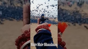 Shiv Shiv Shankara | Shiv WhatsApp status | Mahakal status | Shiv Shiv Shankara Hanshraj Raghuvanshi