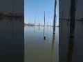 #fishing #subscribe