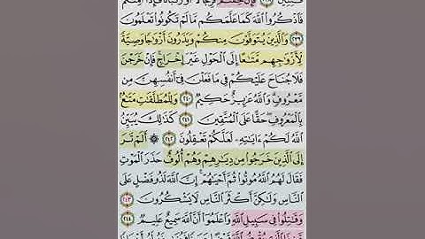 تيسير حفظ سورة البقره بالتكرار الوجة الثامن و الثلاثون الايات (238-245) مكرر 5 مرات بصوت الشيخ عبد