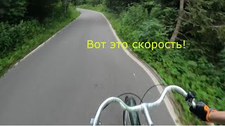 видео: На велике по лесопаркам Москвы 🚵🏻 картинка: На велике по лесопаркам Москвы 🚵🏻