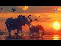 Sing Along! Safari Sunset: A Wild Musical Adventure | Kids Songs | Kids Learning