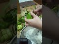 bikin ketupat