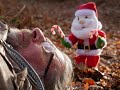 Santa in the Woods - Teaser