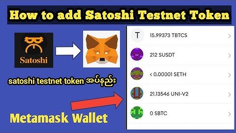 How to add Satoshi Testnet Token