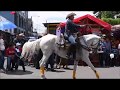 Desfile Hípico (algunos ejemplares de caballos) Chimaltenango 2019, feria patronal a Santa Ana