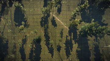 Ansel Battlemap - Gridded - Woodland W3