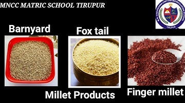V STD - SCIENCE -UNIT- 2 (MATTER AND MATERIALS ) - Part - 2