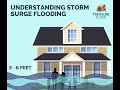 Understanding Storm Surge Animation