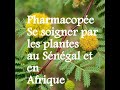 Pharmacope comment se soigner  par les plantes au sngal et en afrique