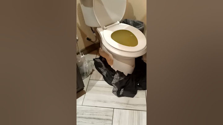 toilet Overflow