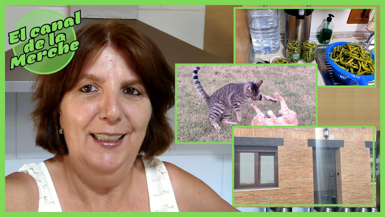 S34/2024: SE PASÓ AGOSTO 😊