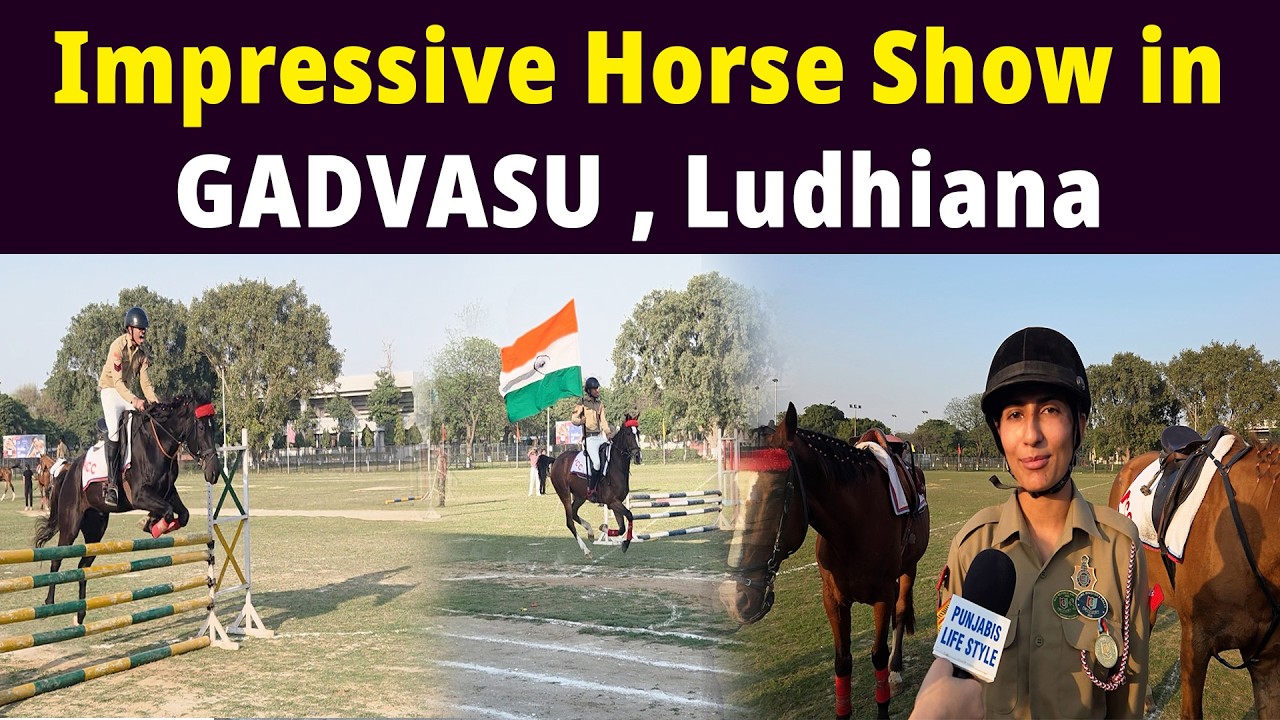 Impressive Horse Show in GADVASU Ludhiana