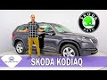 SKODA KODIAQ | SUV-то, което не знаеш, че искаш! |BG CARS UNITED