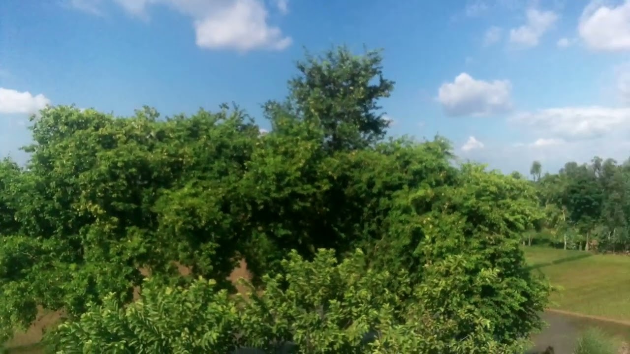 July 10, 2025 Thu 3:50 pm