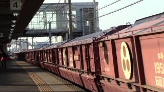 東海道本線8784列車(乙女坂～笠寺)EF64-1002+ホキ