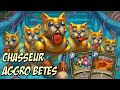 Hearthstone chasseur aggro  je dtruis mes adversaires avec cette liste optimale 80 winrate