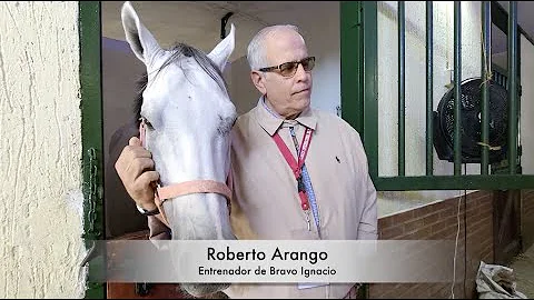 Roberto Arango Espera Gran Carrera De Bravo Ignaci...