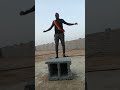 የፋኖው ግልገል 