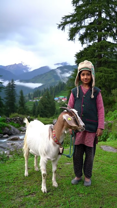 it's hill mountain view 🏞️🏔️🌼☁️#views #video #bollywood #song