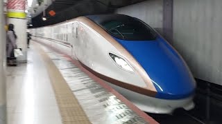 JR西日本北陸新幹線W7系w12編成かがやき号金沢駅行き上野駅到着(2023/2/25)