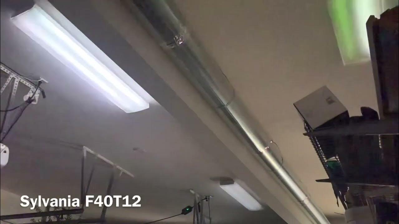 Fluorescent lamps turning on in slow motion YouTube