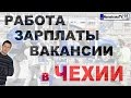 Как найти работу в Чехии | Какая заработная плата в Чехии (Праге) | Вакансии в Чехии [NovastranaTV]