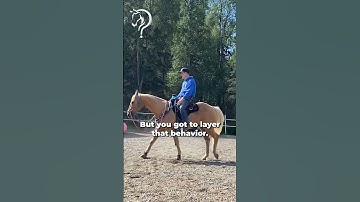 Working With A Buddy Sour Rescue Horse! Part 10! | The Horse Guru - Michael Gascon