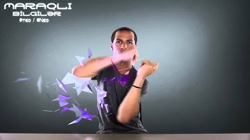 Adobe After Effect Plexus Fingers