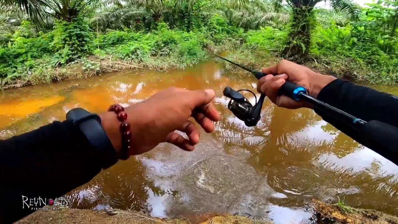 Mancing ikan HAMPALA menggunakan umpan terkecil || Reynold sb 8/1/2020