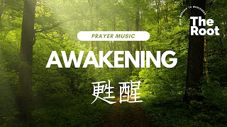Awakening 甦醒 | 等候神音樂 Prayer Music | Soaking Music | Music Healing | Instrumental Music | The Root