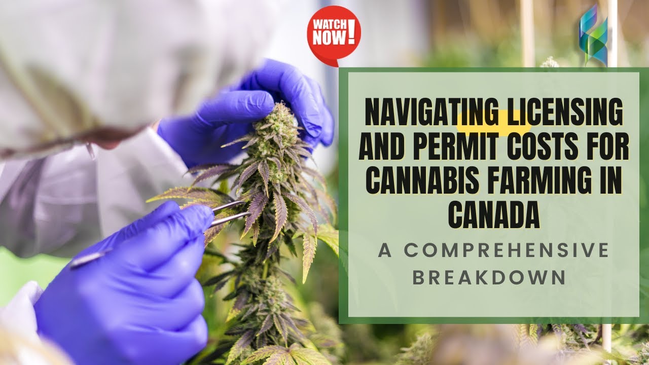 🌿 Navigating Licensing and Permit Costs for Cannabis Farming in Canada: A Comprehensive Breakdown 🌿