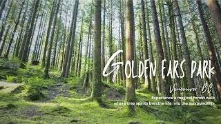 Vancouver BC | Alouette Lake at Golden Ears Park | Go Camping BC | Maple Ridge