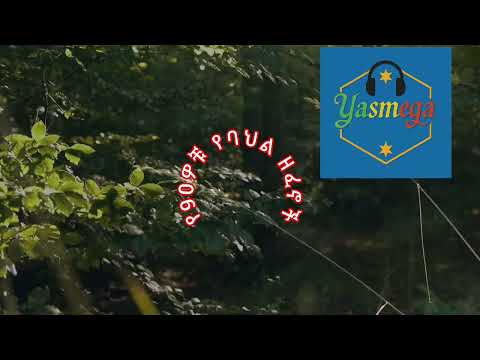 መልካሙ ሙላት እየሰሙ መቻል Melkamu Mulat Eyesemu Mechal የ90ዎቹየባህልዘፈኖች