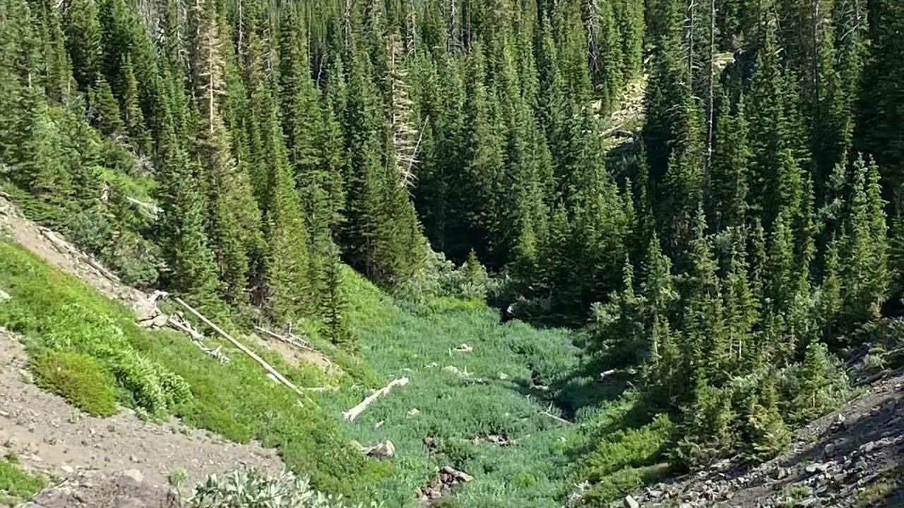 The Flat Tops Wilderness Colorado