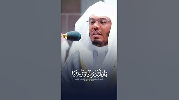 قَالَا رَبَّنَا ظَلَمْنَآ أَنفُسَنَا ~ تلاوة خاشعة تبكي القلوب بالصبا المؤثر للشيخ ياسر الدوسري 😢💔