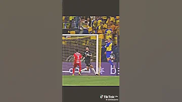 اسطبلات واحصنه كتير 